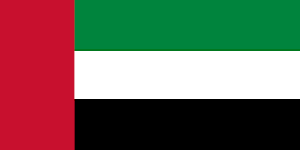 UAE flag