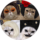 Shixuan Yang (Adam) profile picture